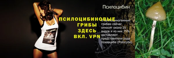 PSILOCYBIN Протвино