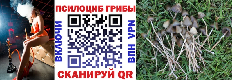 Псилоцибиновые грибы мухоморы  KRAKEN зеркало  Саров 