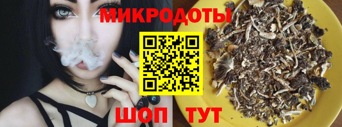 где купить   Вход с VPN  Саров  Галлюциногенные грибы Cubensis 